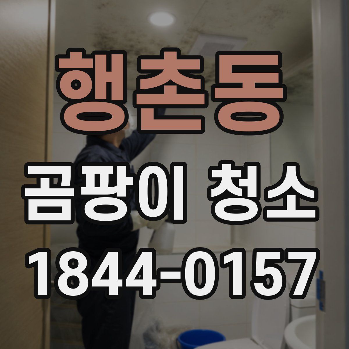행촌동 곰팡이 청소