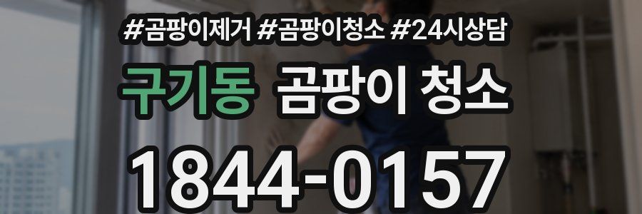 구기동 곰팡이 청소
