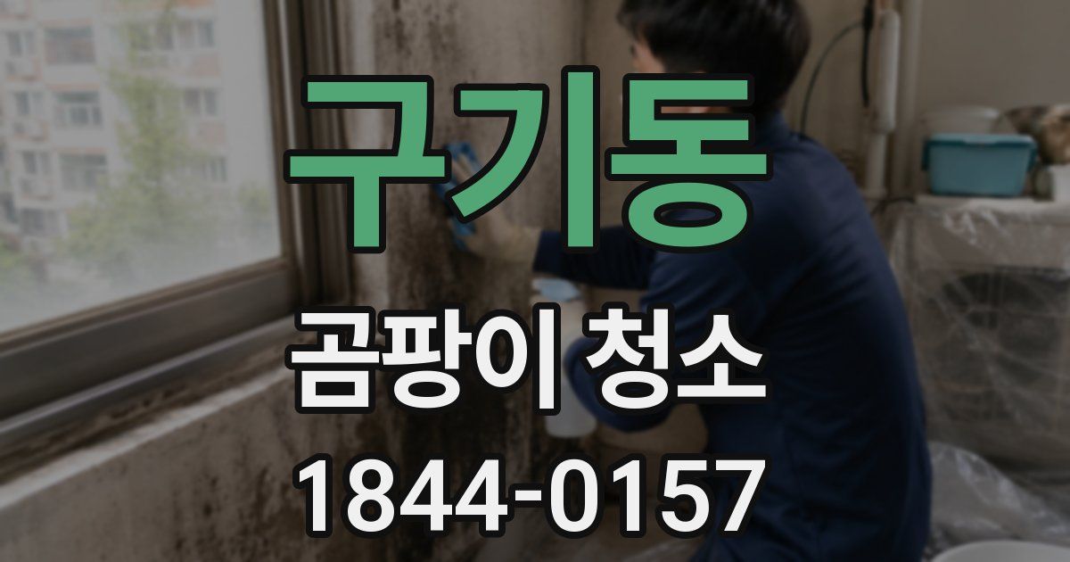 구기동 곰팡이 청소