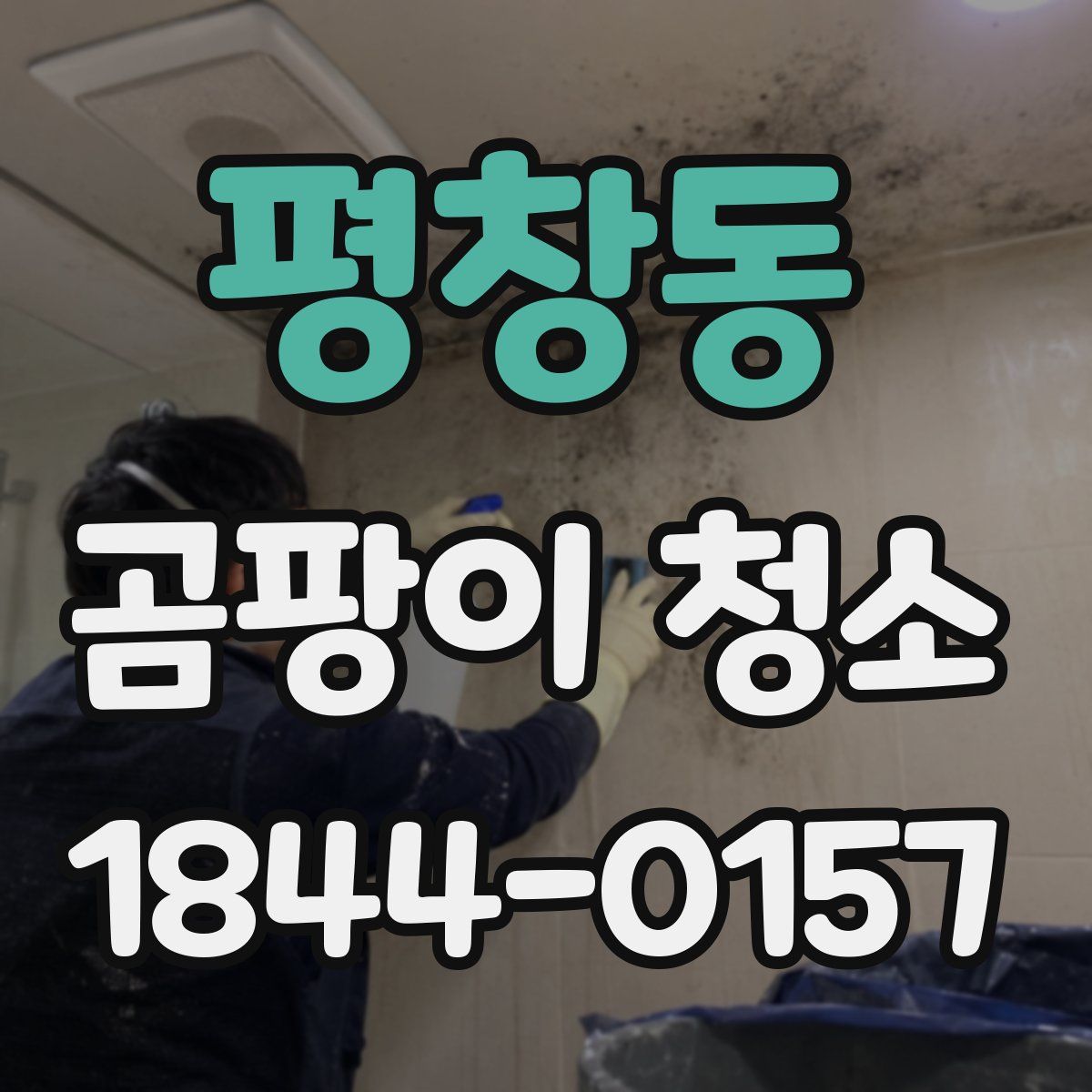 평창동 곰팡이 청소