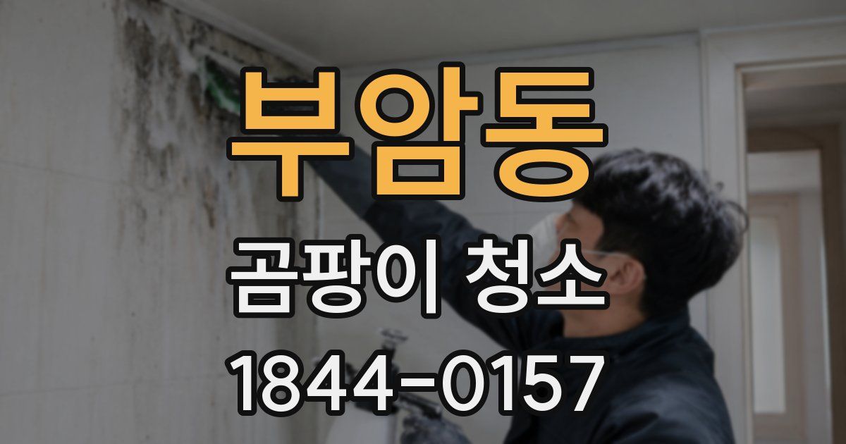 부암동 곰팡이 청소