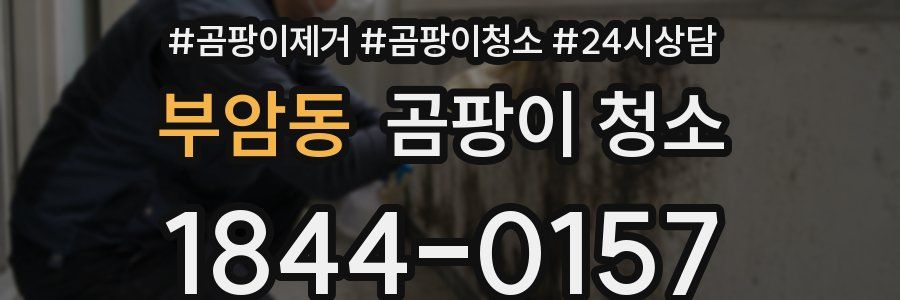 부암동 곰팡이 청소