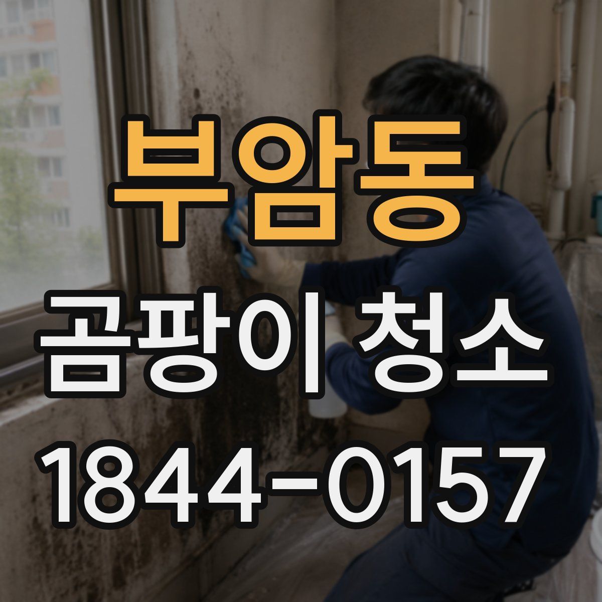 부암동 곰팡이 청소