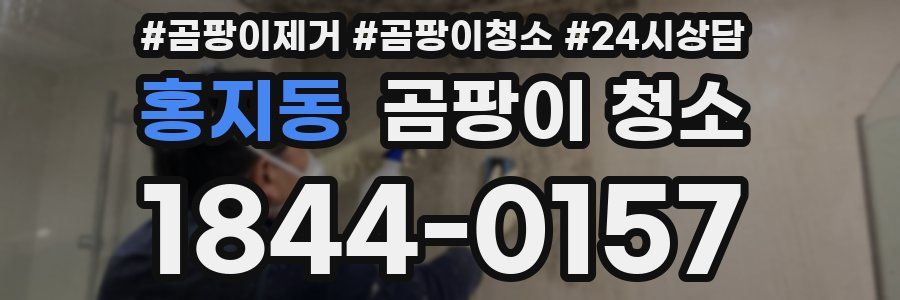 홍지동 곰팡이 청소