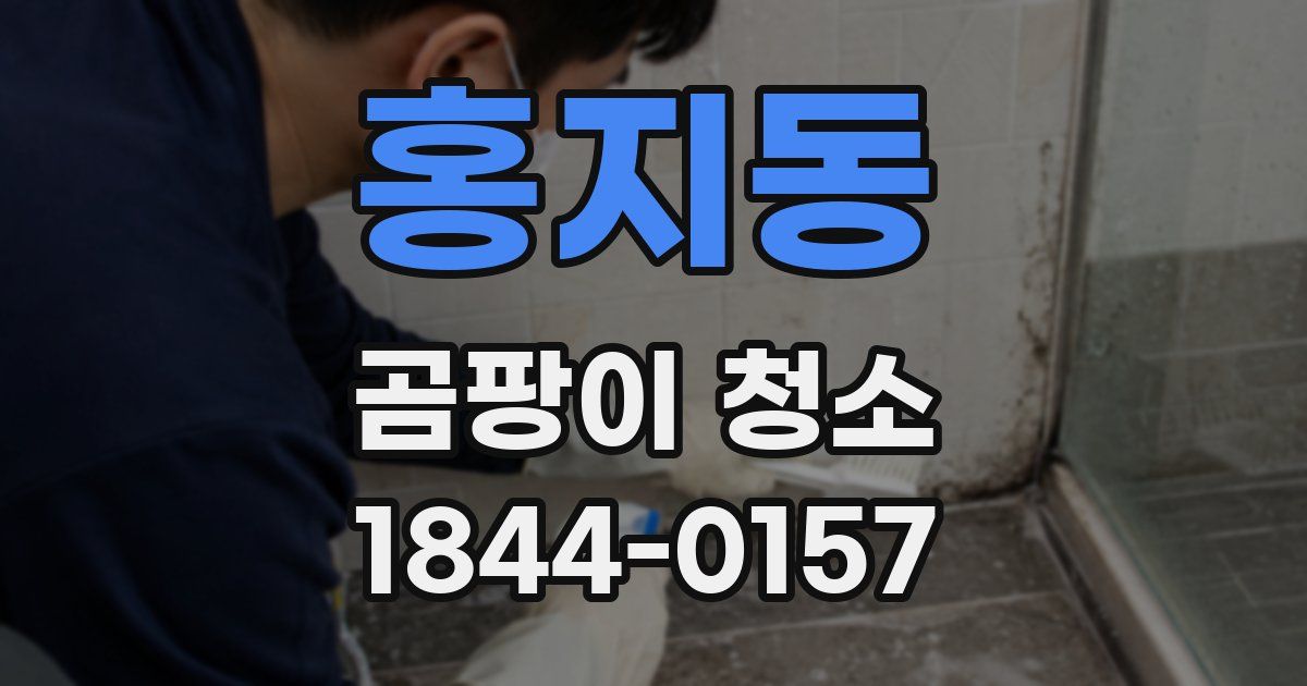 홍지동 곰팡이 청소