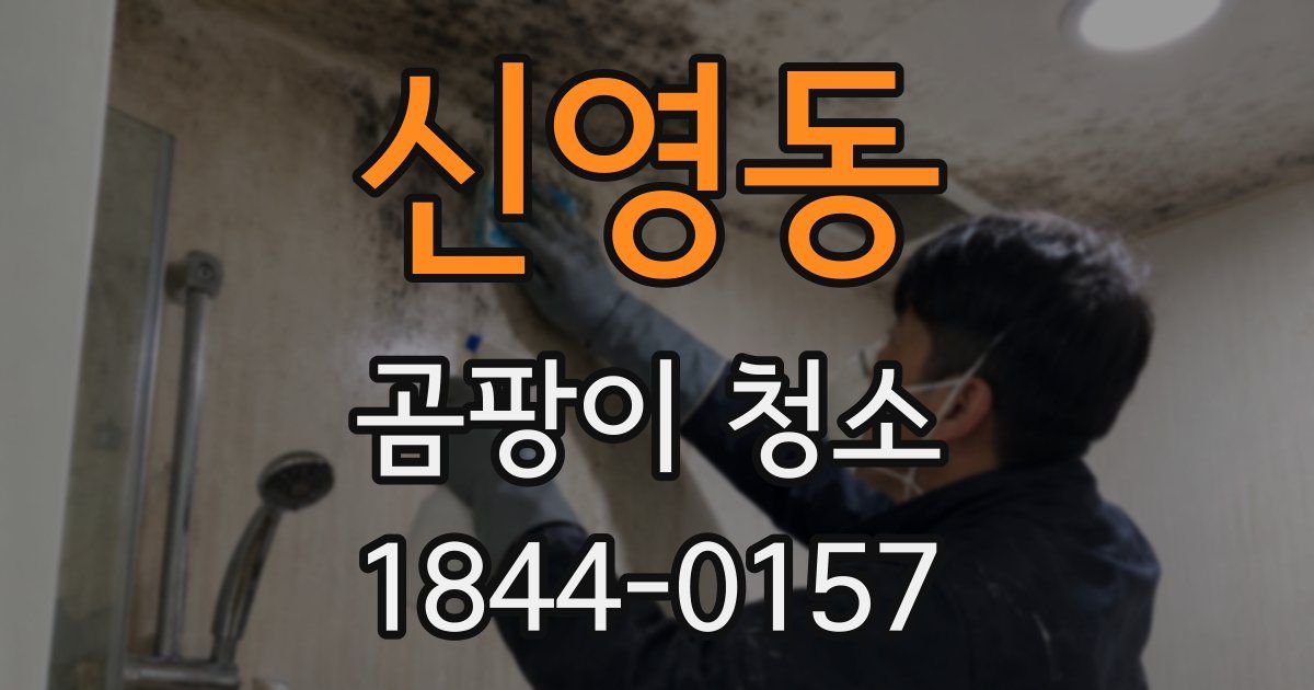 신영동 곰팡이 청소