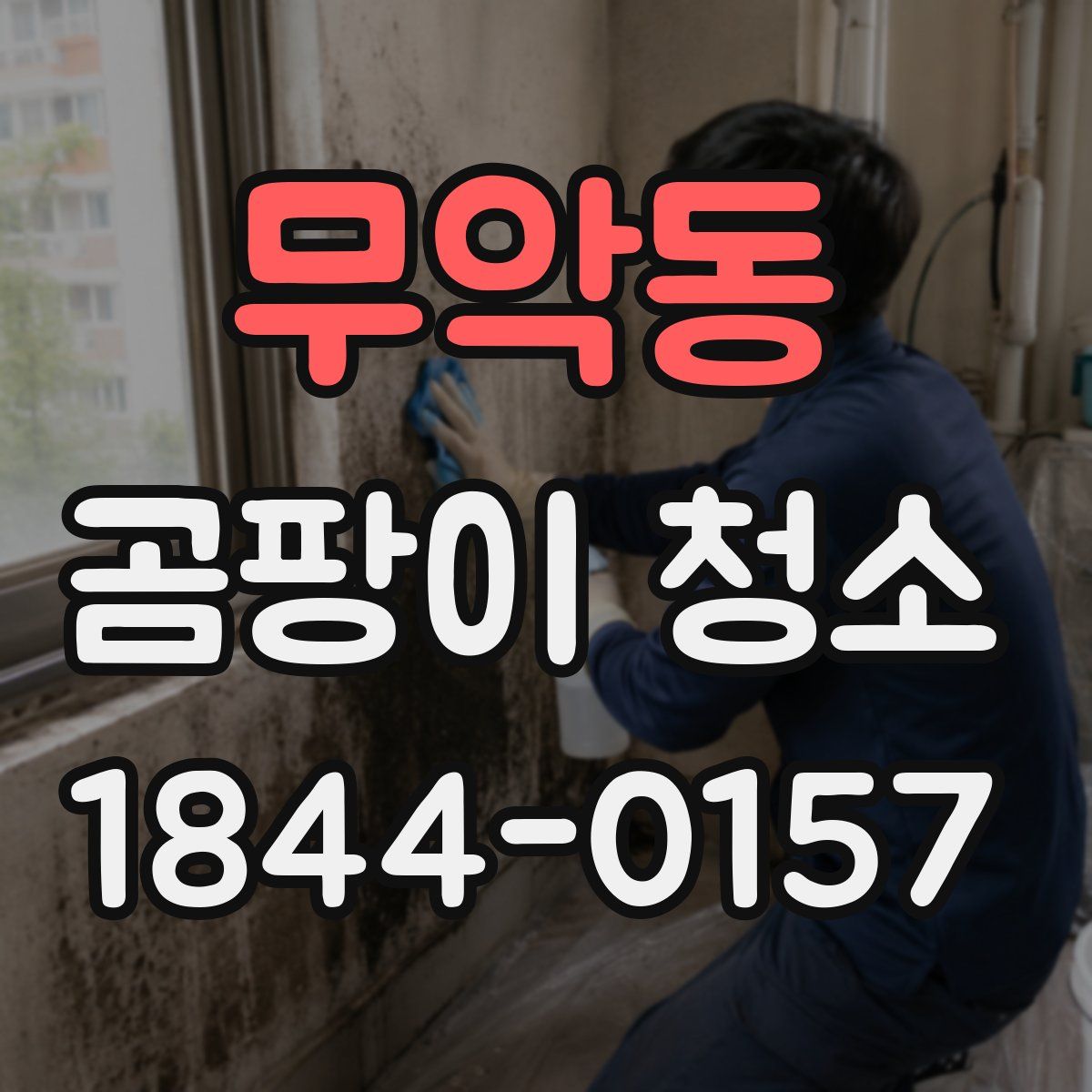 무악동 곰팡이 청소