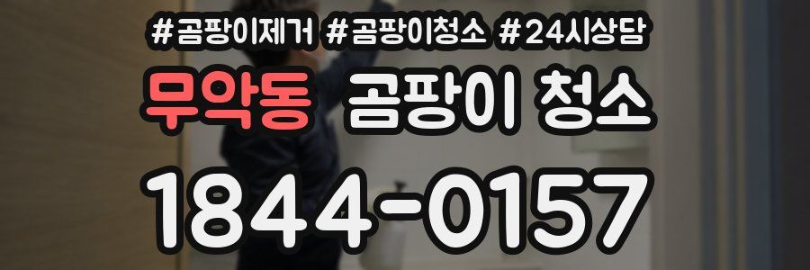 무악동 곰팡이 청소