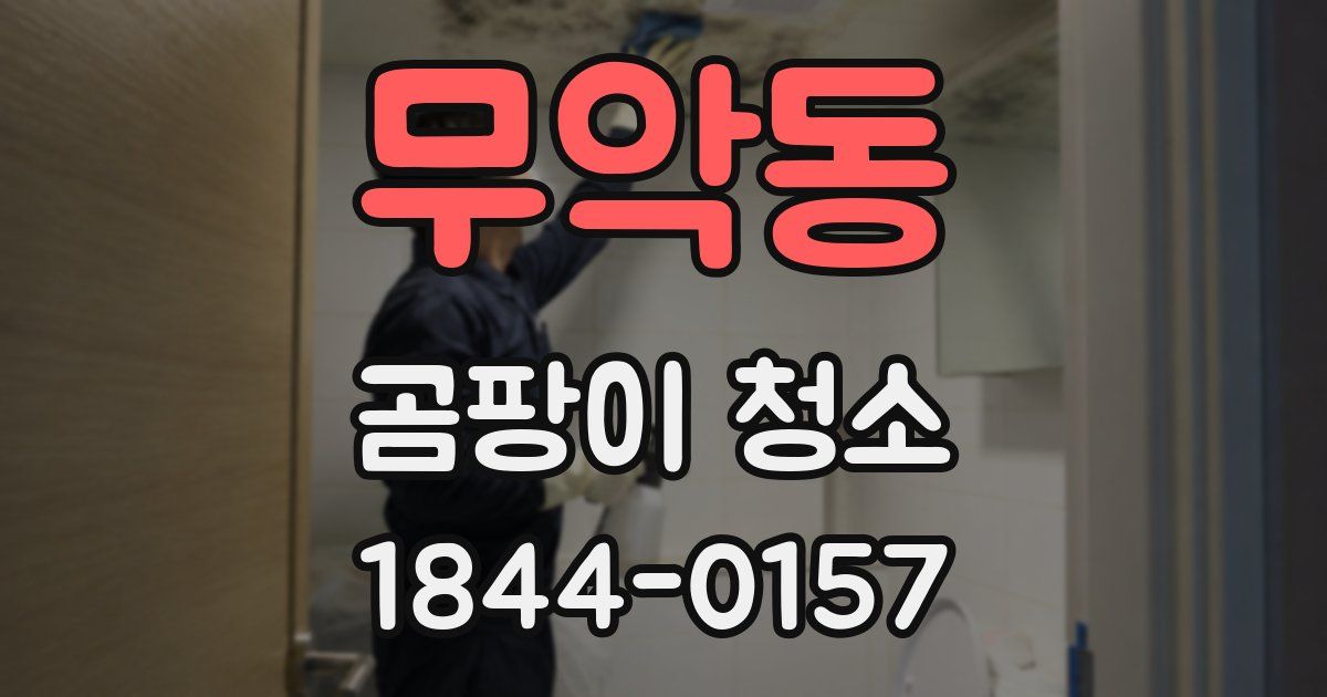 무악동 곰팡이 청소