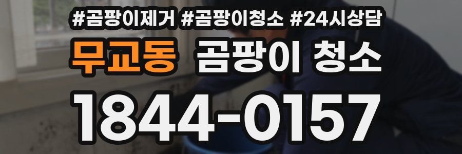 무교동 곰팡이 청소