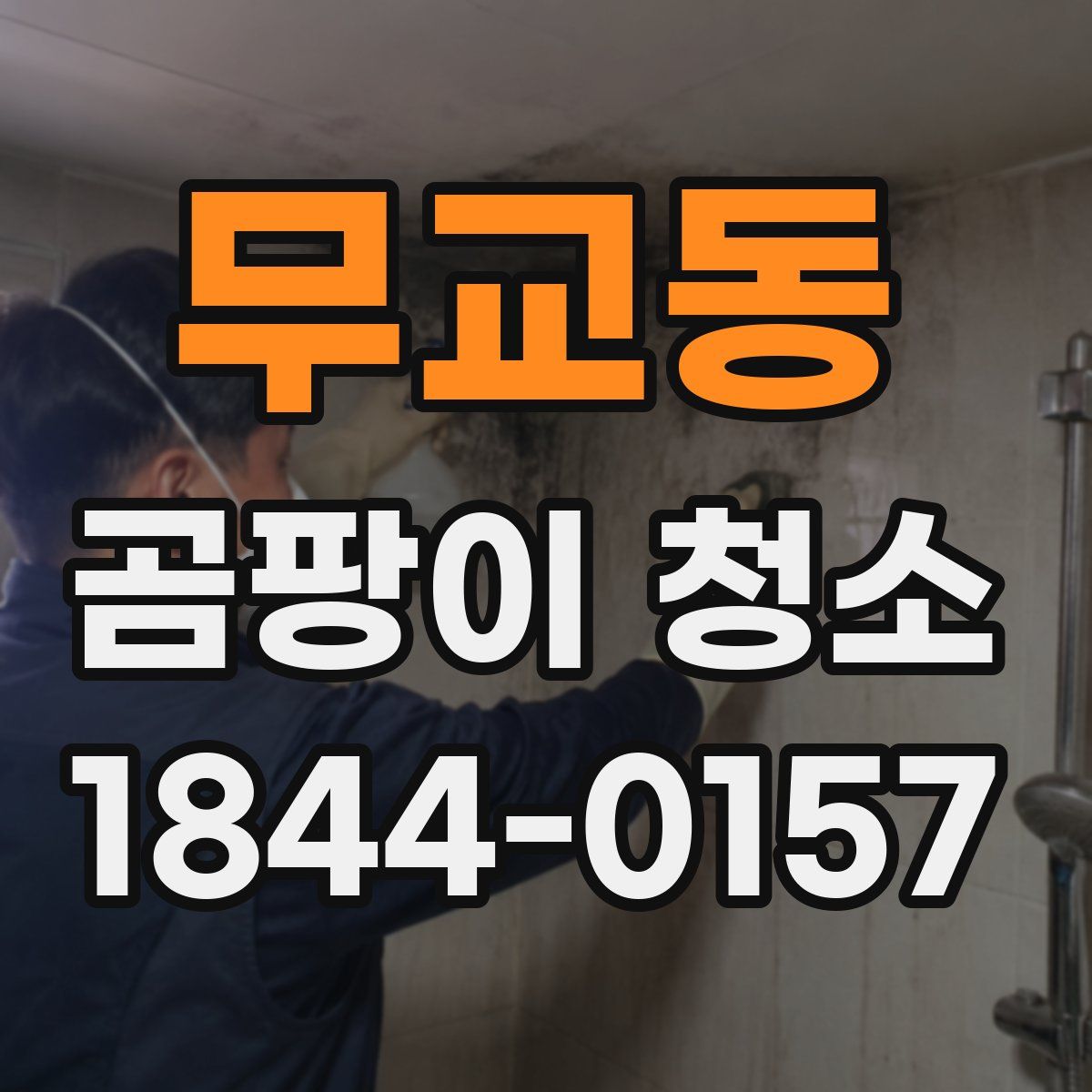 무교동 곰팡이 청소