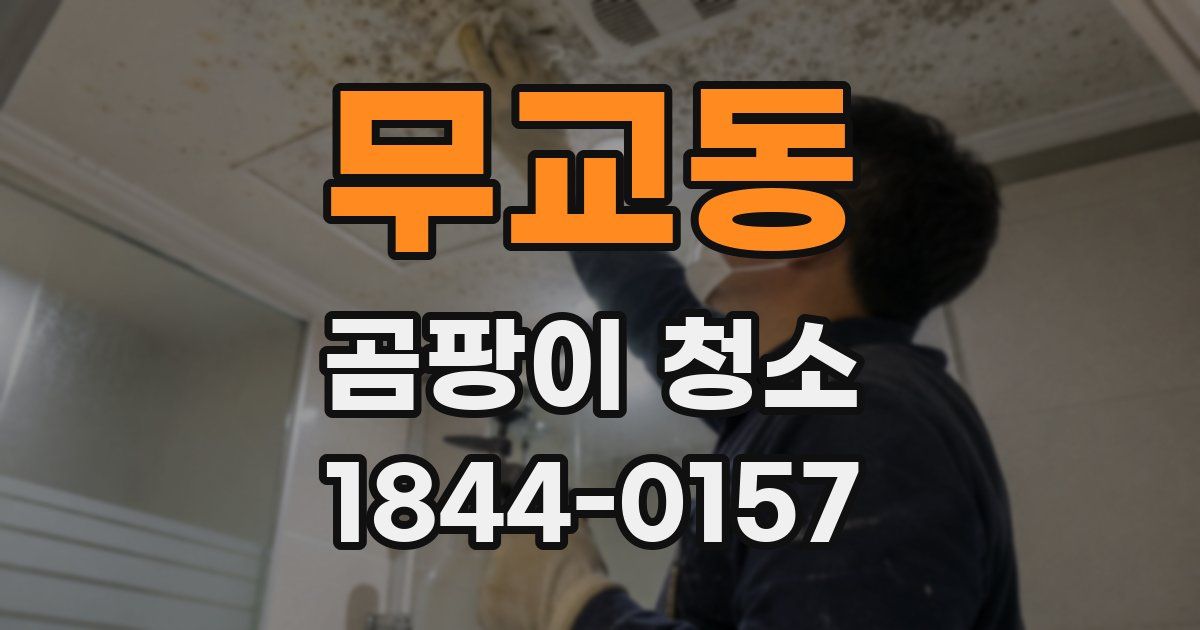 무교동 곰팡이 청소