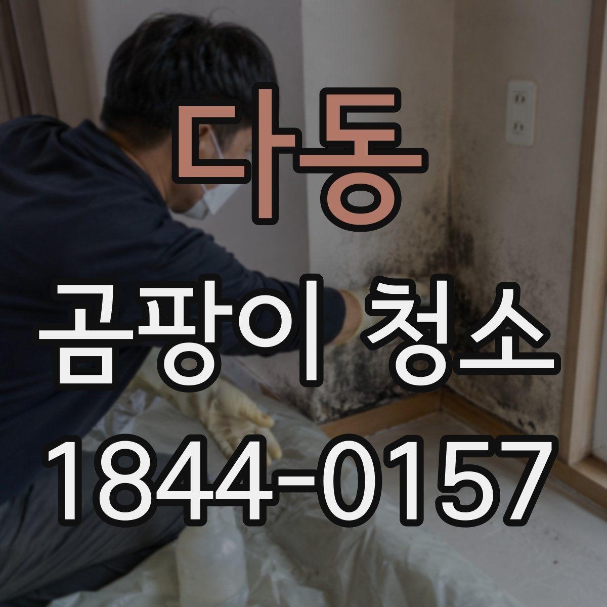 다동 곰팡이 청소 번짐이 의심될 때 닦기 전에 확인할 것들