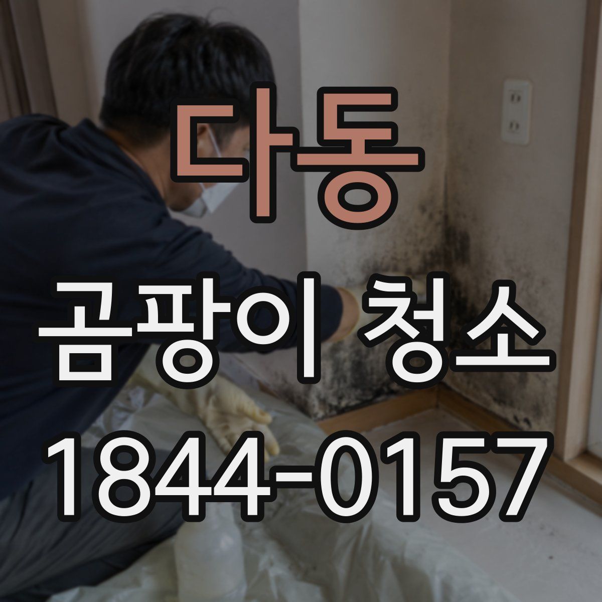 다동 곰팡이 청소