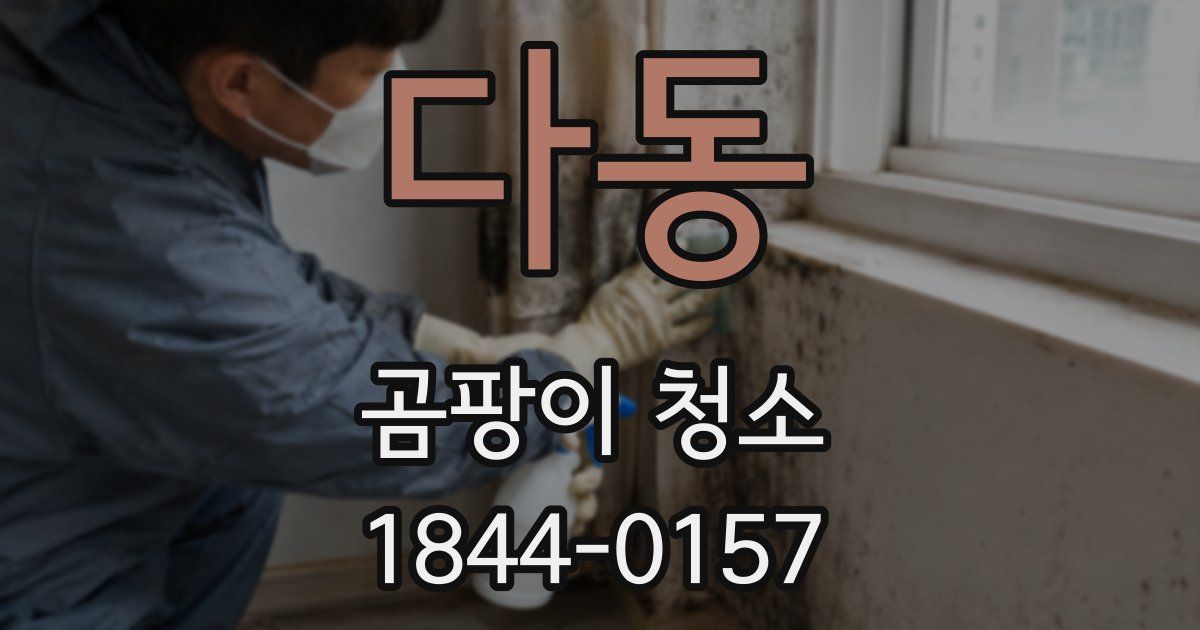 다동 곰팡이 청소