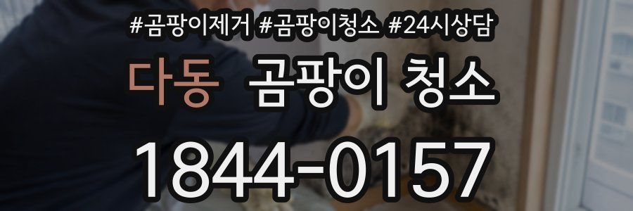 다동 곰팡이 청소