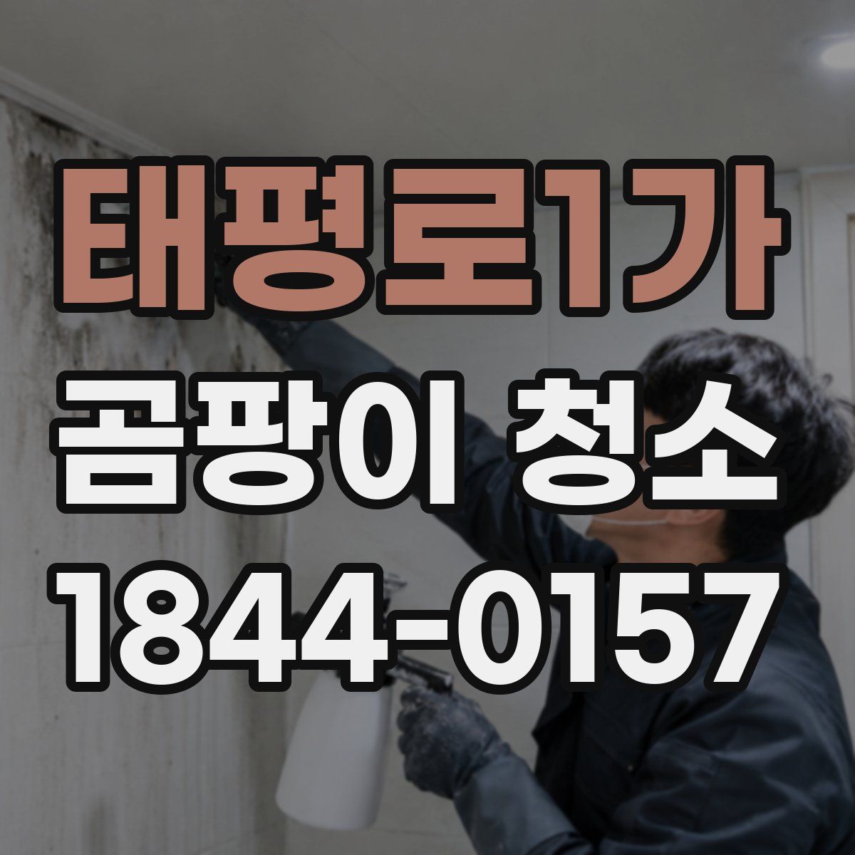 태평로1가 곰팡이 청소