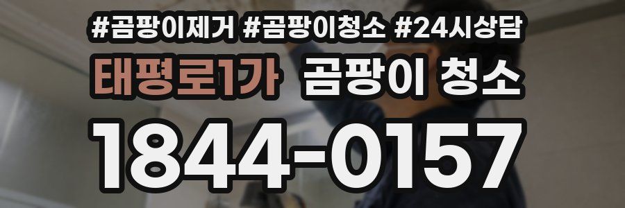 태평로1가 곰팡이 청소
