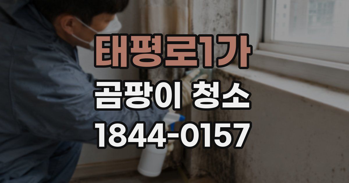 태평로1가 곰팡이 청소