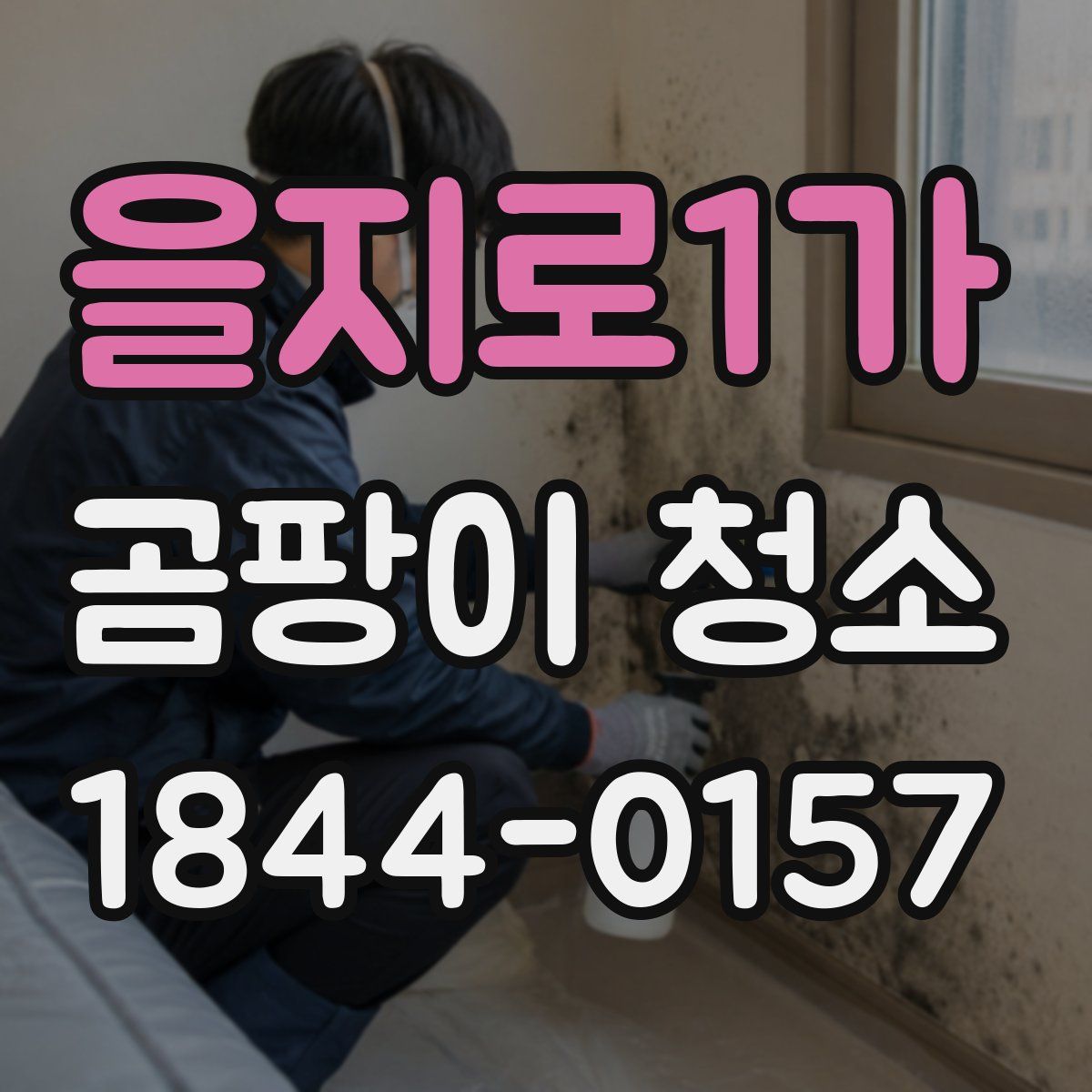을지로1가 곰팡이 청소