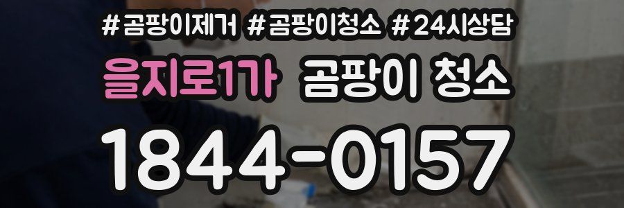 을지로1가 곰팡이 청소