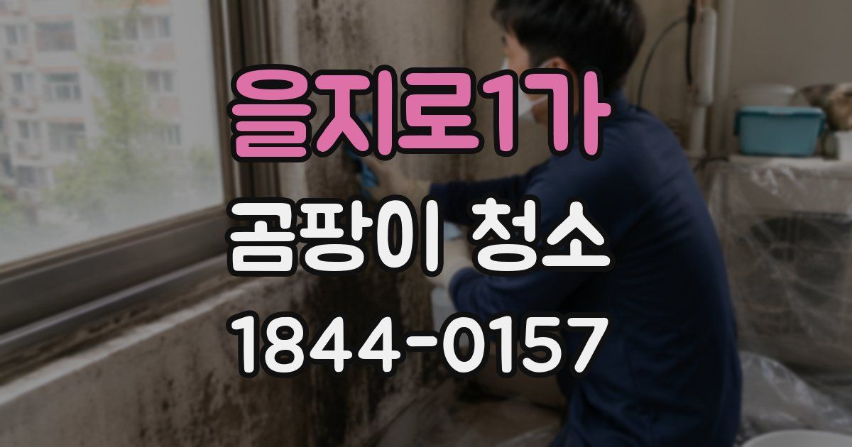 을지로1가 곰팡이 청소