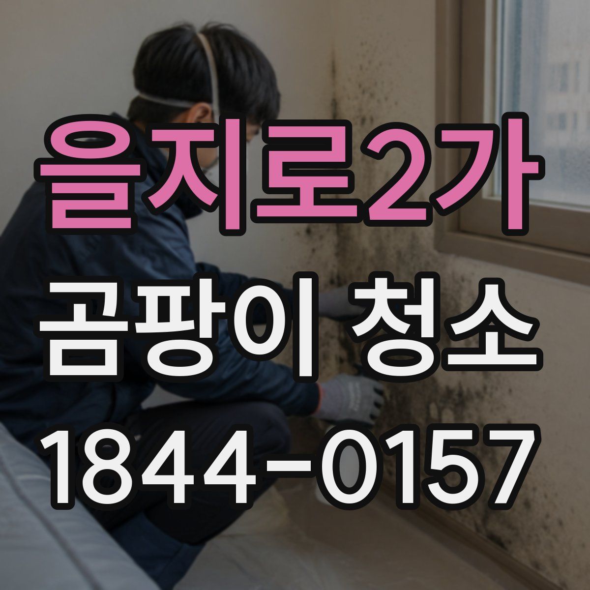 을지로2가 곰팡이 청소