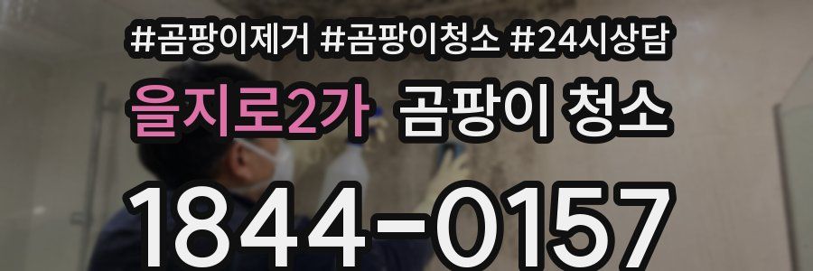 을지로2가 곰팡이 청소