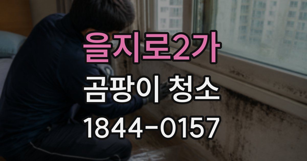 을지로2가 곰팡이 청소