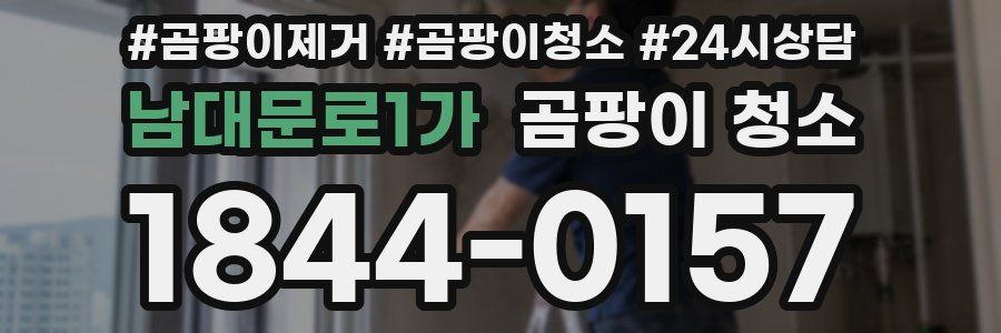 남대문로1가 곰팡이 청소