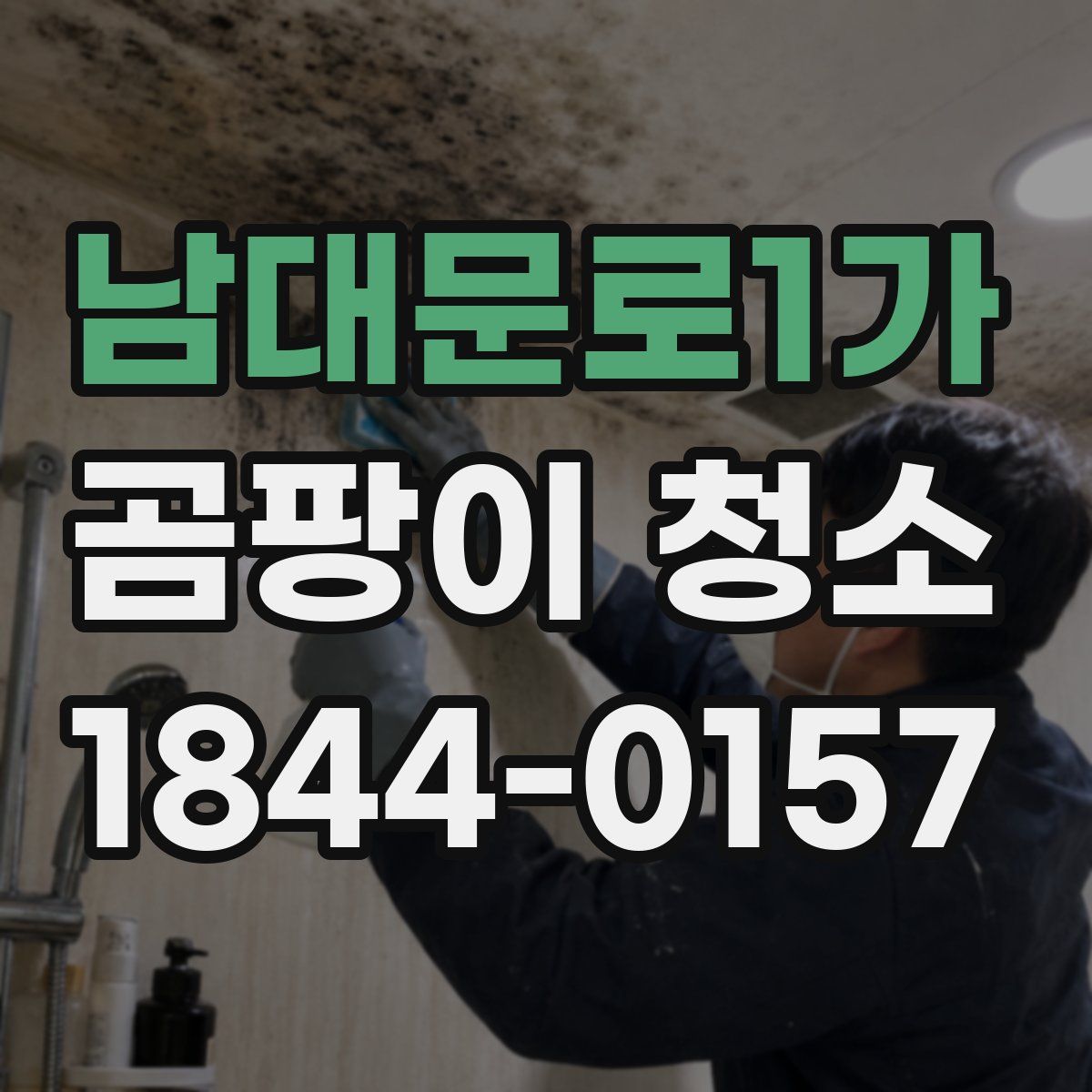 남대문로1가 곰팡이 청소