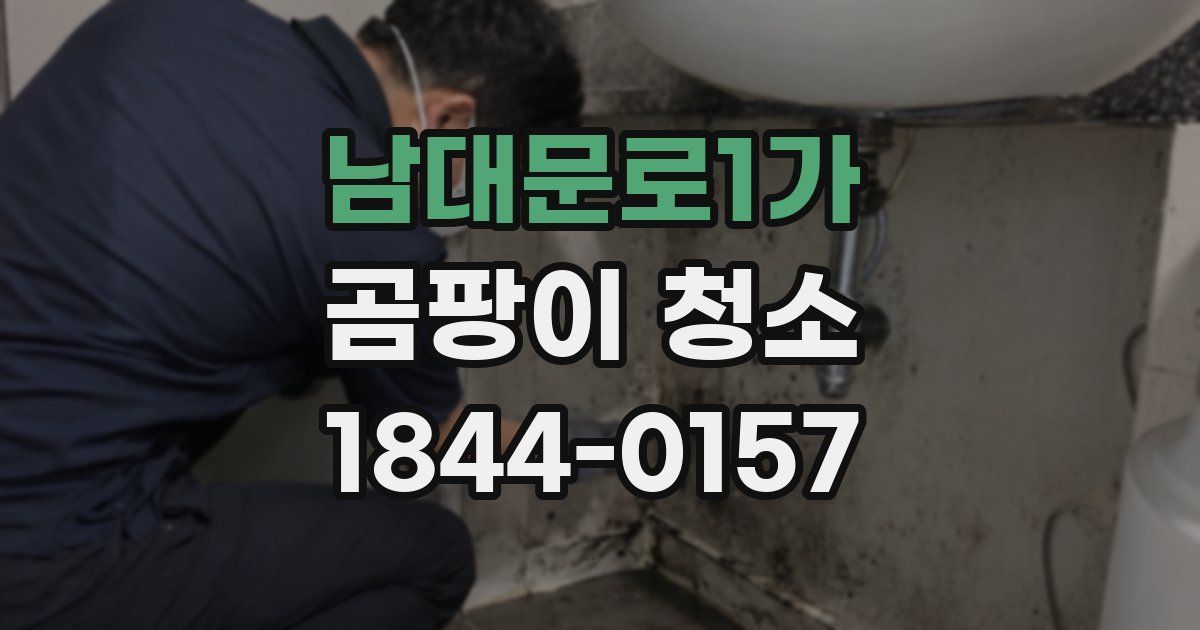 남대문로1가 곰팡이 청소