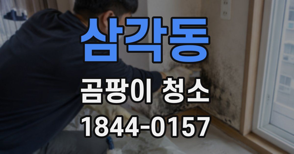 삼각동 곰팡이 청소