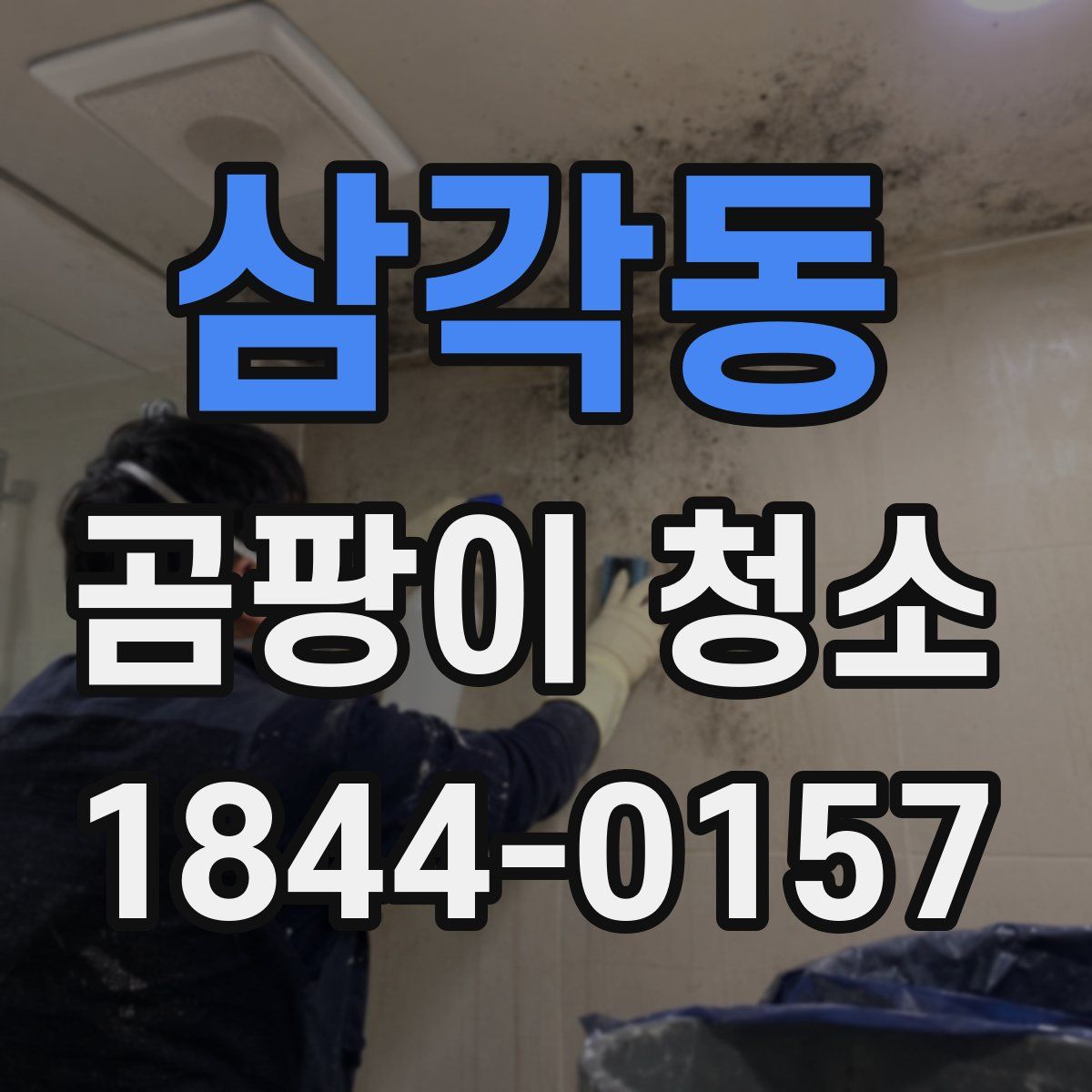삼각동 곰팡이 청소