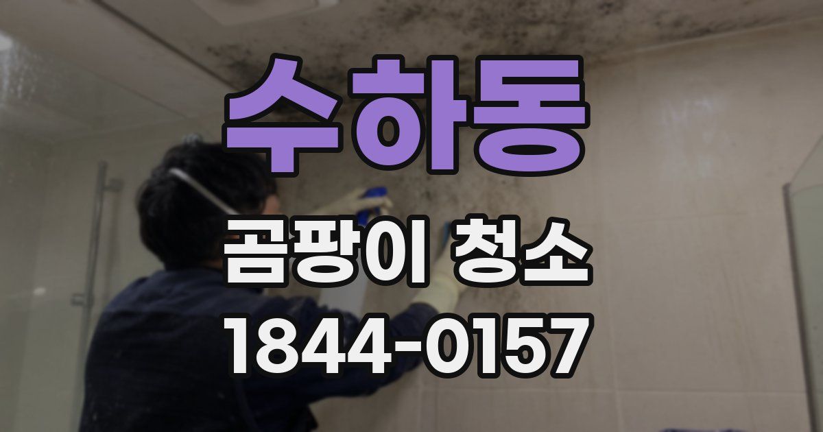 수하동 곰팡이 청소