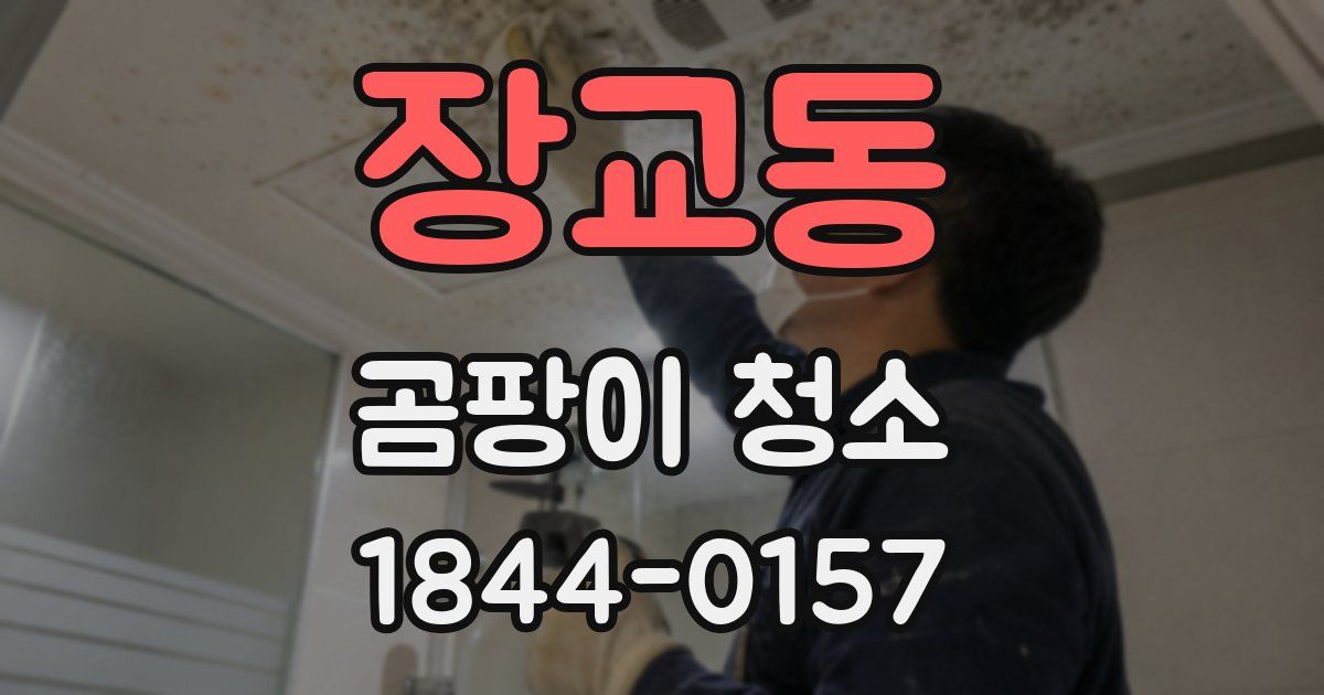장교동 곰팡이 청소