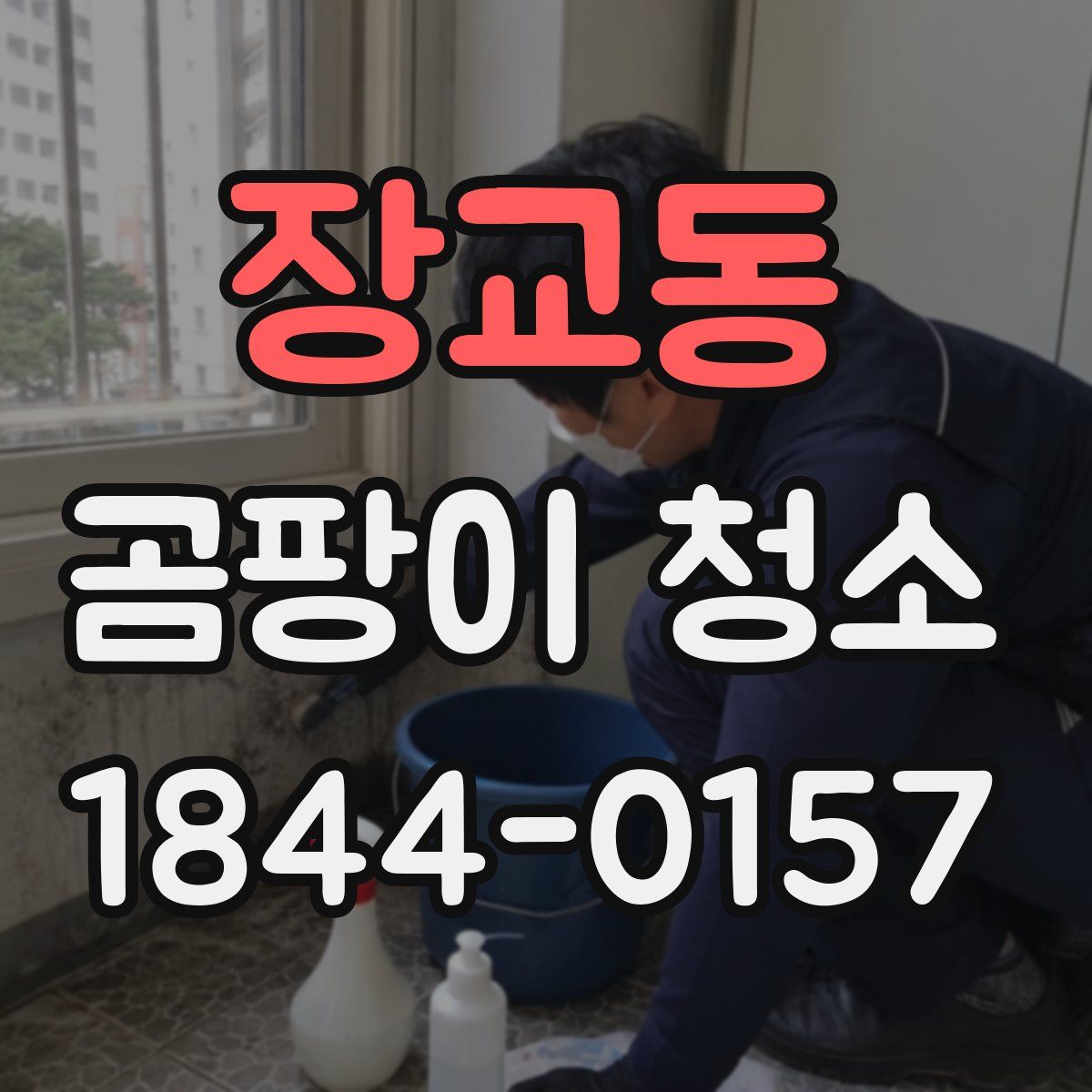 장교동 곰팡이 청소