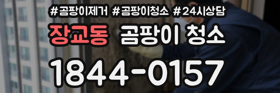 장교동 곰팡이 청소