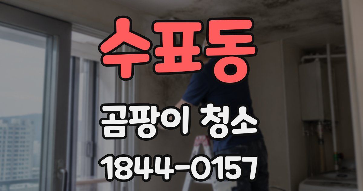 수표동 곰팡이 청소
