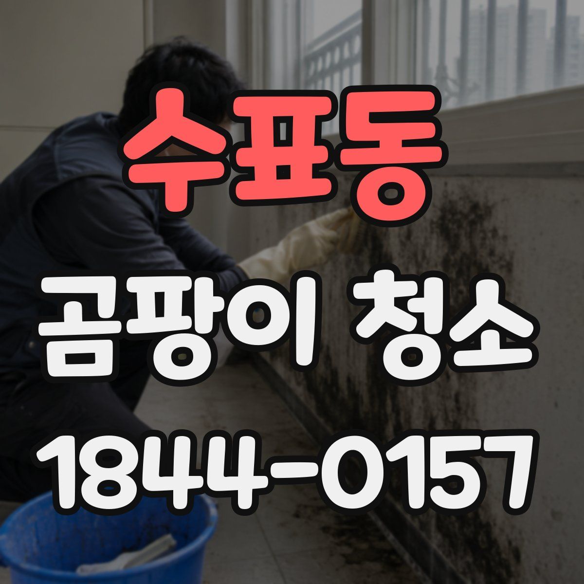 수표동 곰팡이 청소