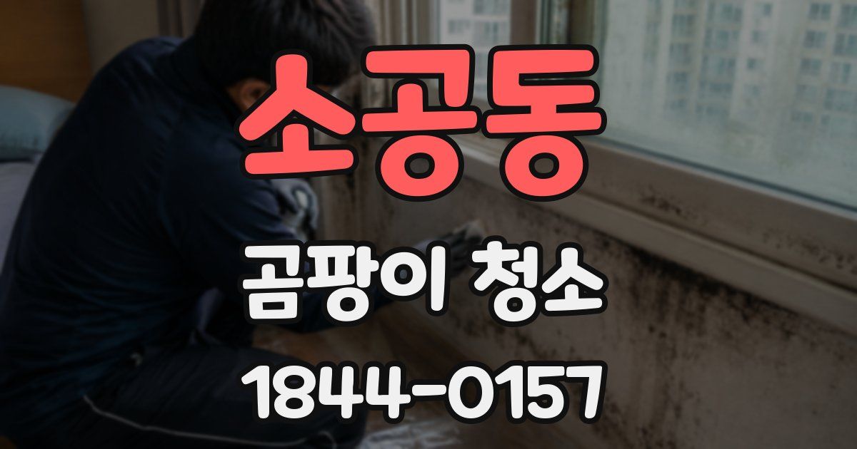 소공동 곰팡이 청소