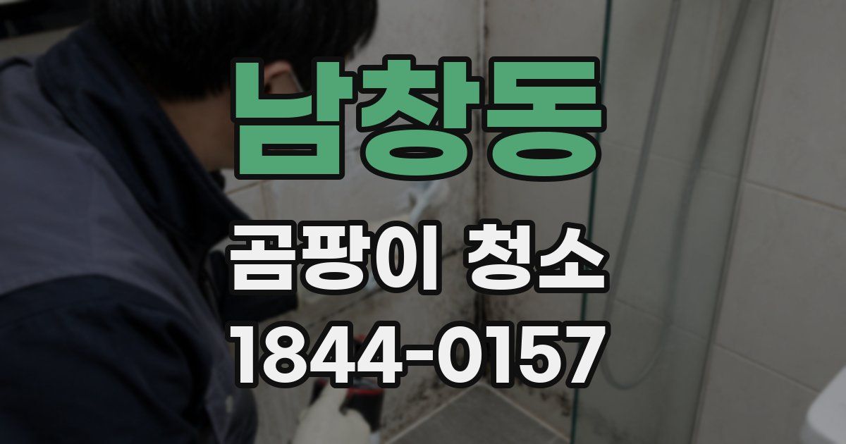 남창동 곰팡이 청소