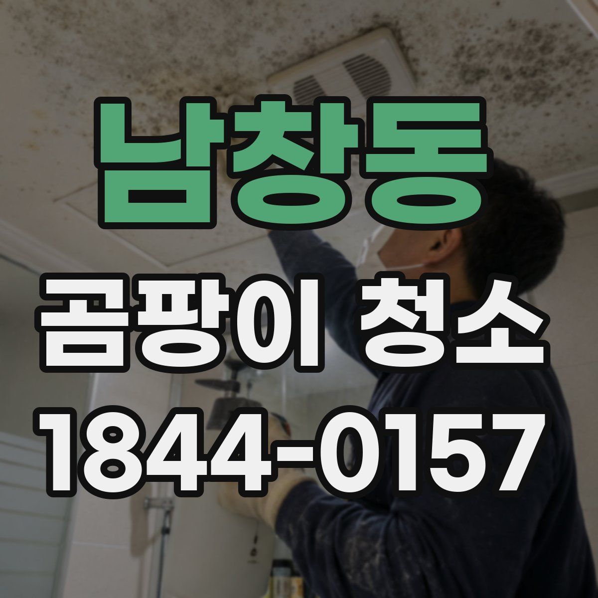 남창동 곰팡이 청소
