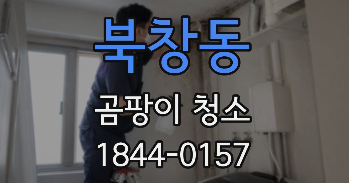 북창동 곰팡이 청소