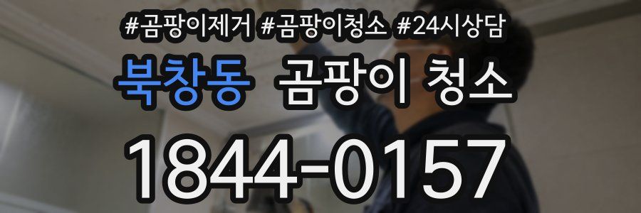북창동 곰팡이 청소