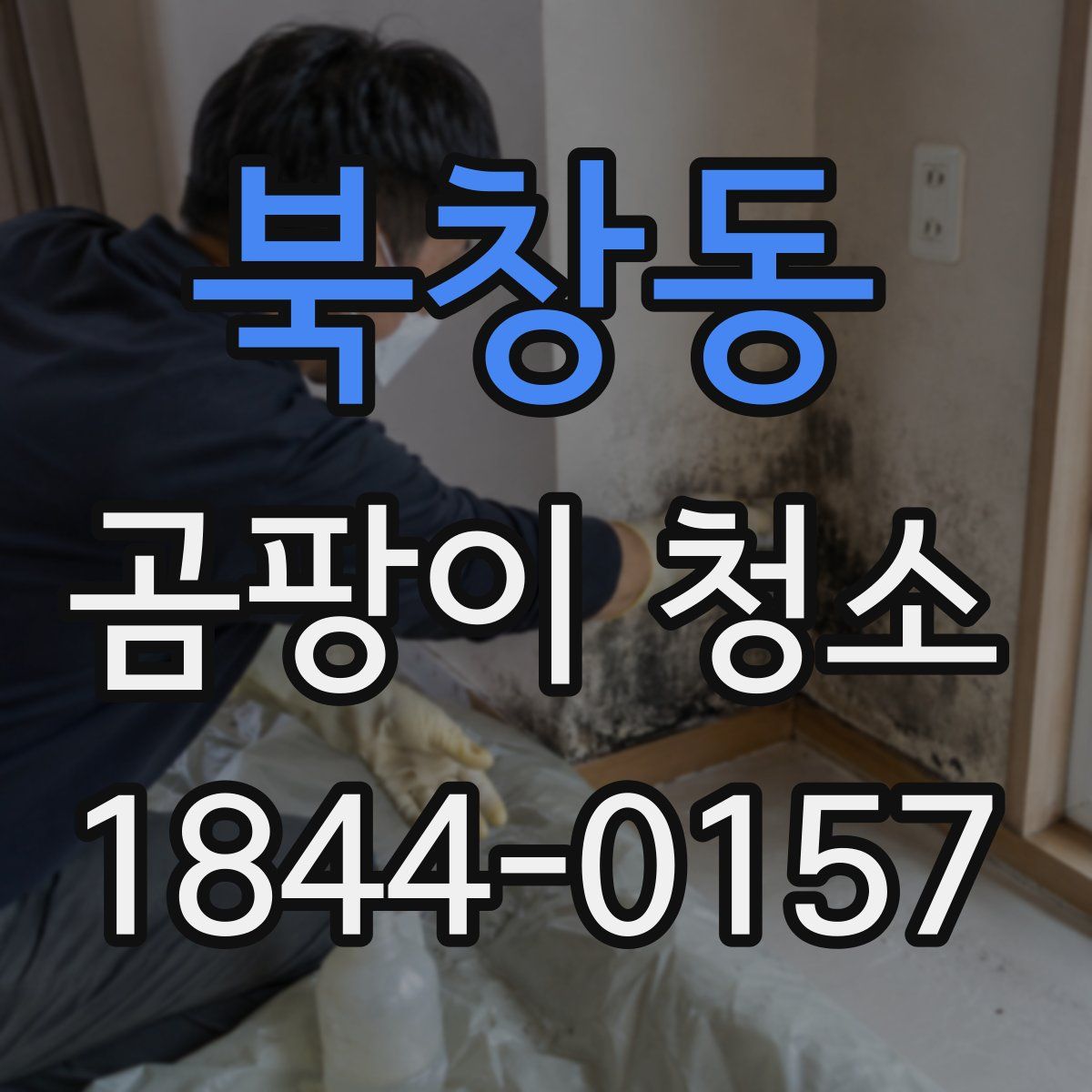 북창동 곰팡이 청소