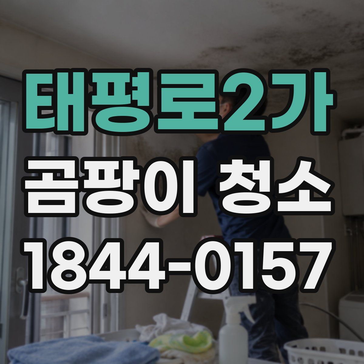 태평로2가 곰팡이 청소