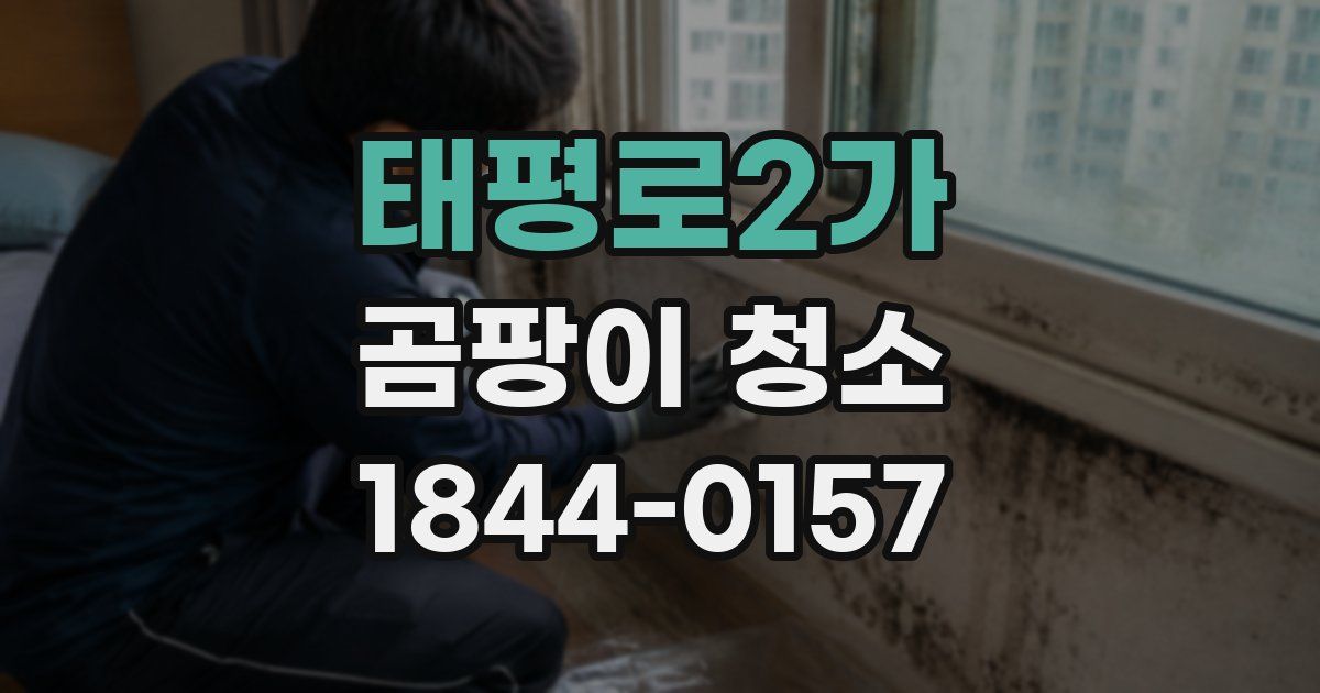 태평로2가 곰팡이 청소