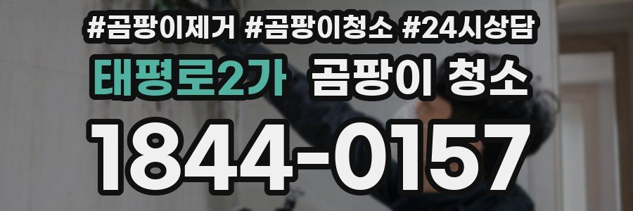 태평로2가 곰팡이 청소