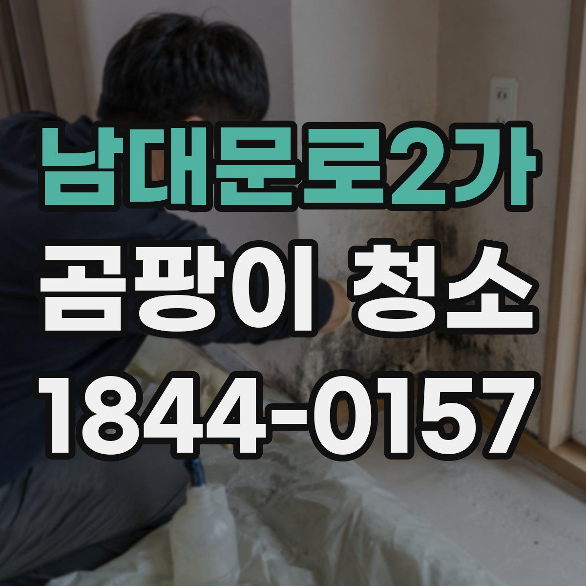 남대문로2가 곰팡이 청소
